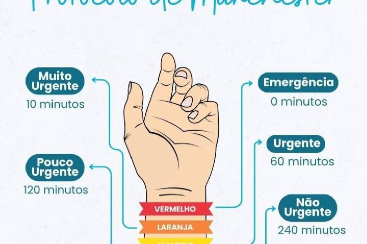 Galeria de Imagem
