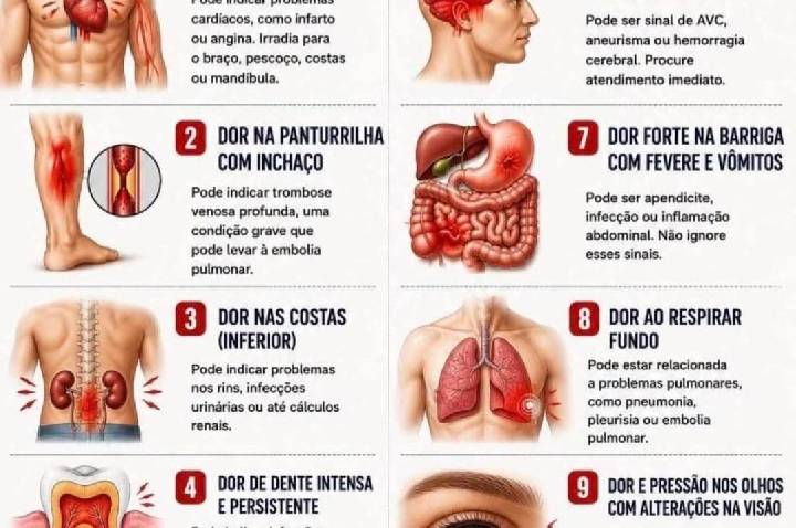 Galeria de Imagem
