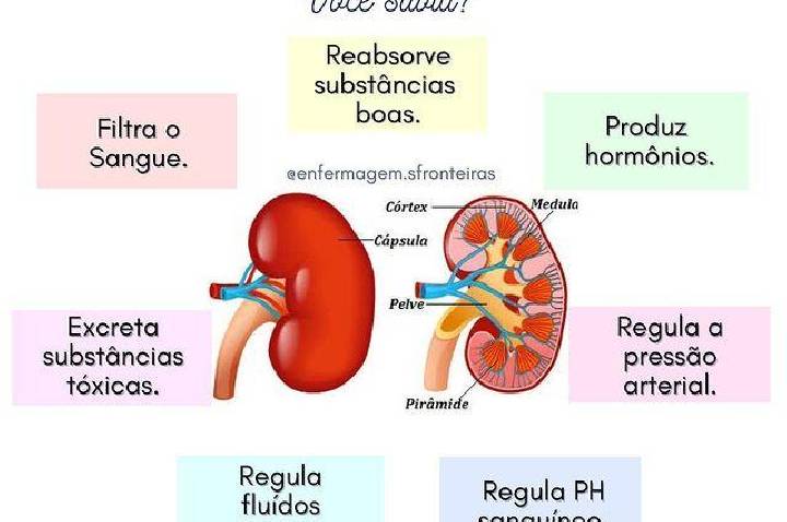Galeria de Imagem