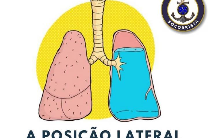 Galeria de Imagem